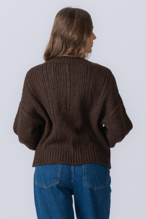 Botton breisel - Bruin